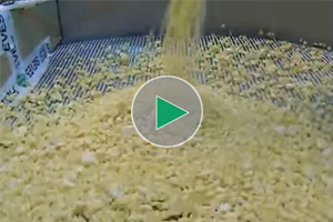 vibro separator for butterscotch