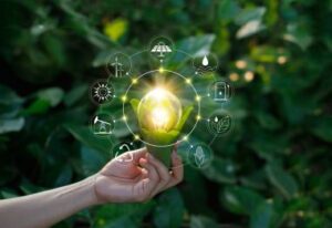 Sustainable businesses: adapt to survive